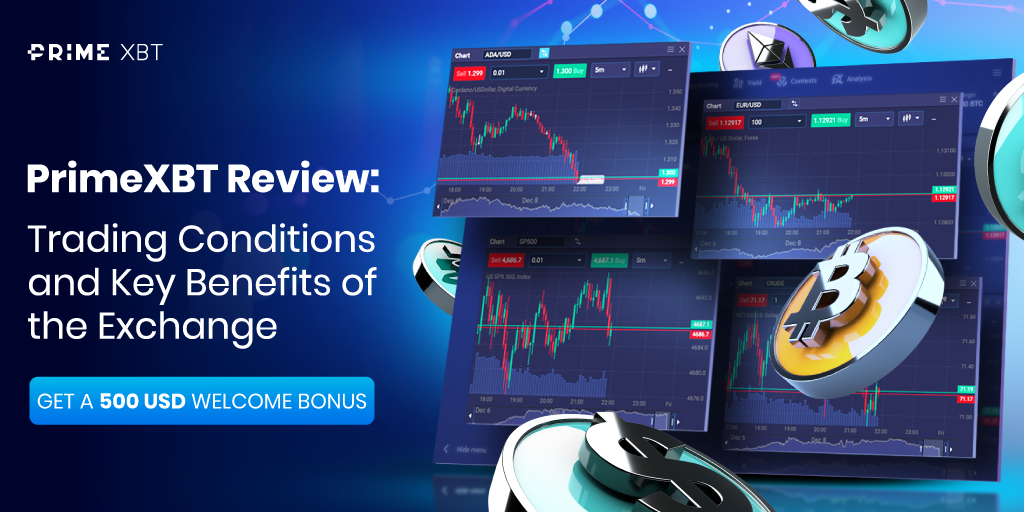 Understanding PrimeXBT Forex A Guide for Traders Understanding PrimeXBT Forex A Guide for Traders